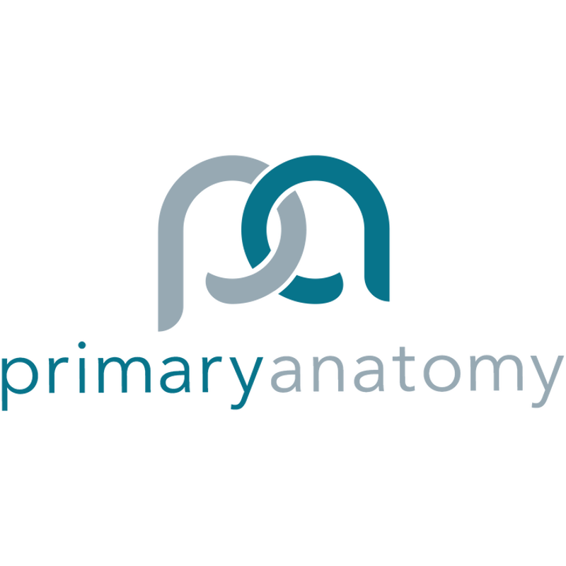 Primary Anatomy